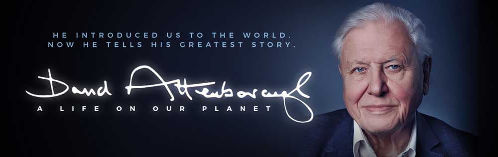 David Attenborough a Life on Our Planet (2020): Important, Thought-Provoking