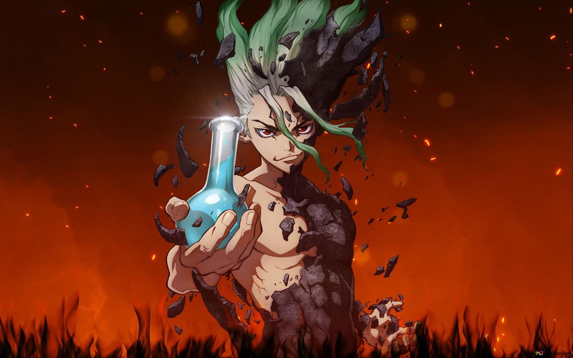 Dr. Stone
