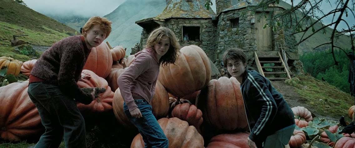 Harry Potter and the Prisoner of Azkaban (2004)